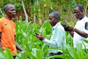 Ứng dụng công nghệ số trong nông nghiệp