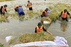 Miền Trung nỗ lực khắc phục hậu quả mưa lũ