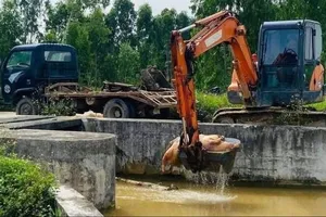 Nguy cơ dịch tả heo châu Phi lây lan rộng