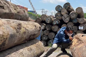 Ứng phó áp thuế mới với ngành gỗ: Chủ động nguồn hàng, mở rộng thị trường