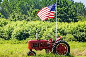 Chính phủ đóng cửa, nông dân Mỹ lao đao