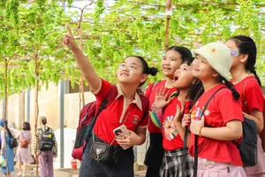 Sản xuất nông nghiệp kết hợp du lịch cộng đồng: Đa dạng trải nghiệm, tiêu dùng xanh