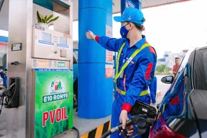 Delegates attend the seminar. (Photo: SGGP)