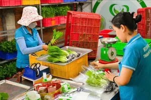 Nông nghiệp đô thị: Ứng dụng công nghệ cao để phát triển bền vững