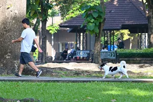 Quản lý chó, mèo bằng dữ liệu