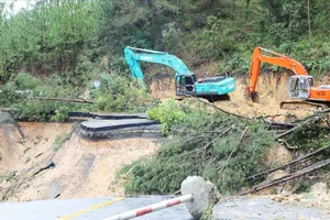 Làm rõ nguyên nhân gây sạt lở, ngập úng trên các tuyến đường bộ