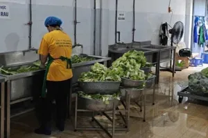 Nỗi lo mất an toàn thực phẩm - Bài 4: Gỡ khó cho công tác quản lý