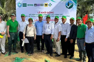 Hiệu quả mô hình lúa – tôm và sức khỏe đất sau mỗi mùa vụ