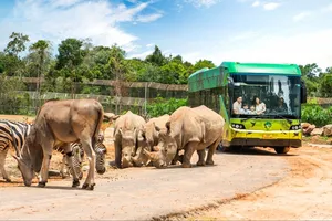 Những “hành khách” nặng hàng tấn, bay chuyên cơ tới Safari lớn nhất Việt Nam giờ ra sao?