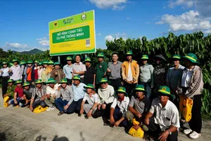 Canh tác cà phê thông minh tại Đắk Hà: cây khỏe, giữ quả tốt, giảm phát thải