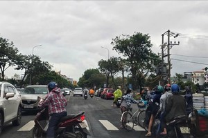  强风阻碍了多种交通工具的行驶方向。