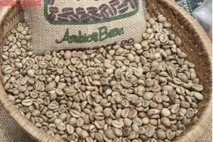 咖啡价格已经止跌。