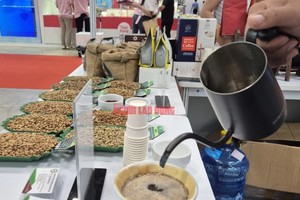 咖啡价格每日波动