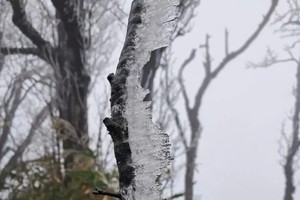 自1月5日起，霜冻已出现在高平省菲霍山峰。