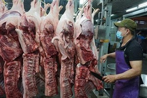  胡志明市加强检疫与屠宰管理，确保春节食品安全 