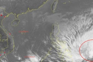 热带低压活动区域。 