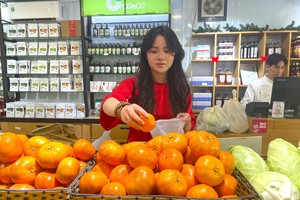 今年春节礼盒市场中，“绿色”、“环保”和“高实用价值”产品明显增多。