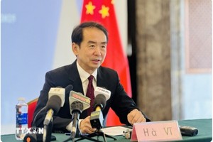 中国驻越南大使何炜 。