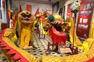 “胡志明市华人非物质文化遗产——舞狮文化”专题展览。