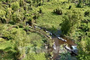 2026年将完成服务于欧盟零毁林法规执行的森林数据库