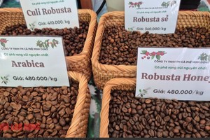 咖啡价格连续两日上涨