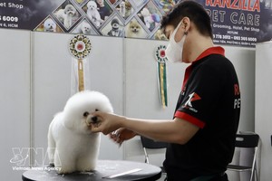 越南宠物市场吸引韩国企业目光。