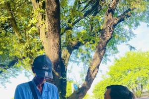 从今天（4月1日）起，南部彩票正式创下新纪录，每期开奖增加200万张彩票。