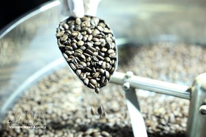 咖啡目前是越南对阿尔及利亚的主要出口产品。