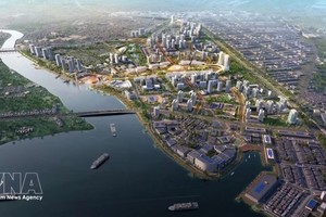 同奈市成立方案档案获政府通过。