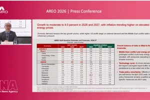 AMRO首席经济学家何东表示，越南较好地应对了去年美国关税政策带来的冲击。