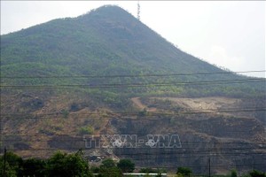 发生在Tazon山（位于林同省咸顺乡第二村）的事故，已造成4人伤亡。