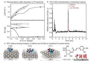 本项研究相关示意图。