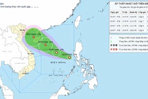 国家水文气象预报中心于7月1日上午更新的热带低压移动路径预报模型（该系统有较高概率加强为2026年首号台风） 