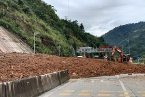 受连日强降雨影响，8月4日上午，老街省左芬乡4D号国道发生山体滑坡，土石滑落至路面。图：左芬乡公安