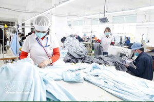 附图。图自越通社