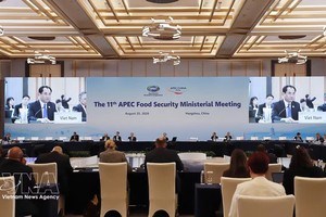 第十一届亚太经合组织（APEC）粮食安全部长级会议现场。图自越通社