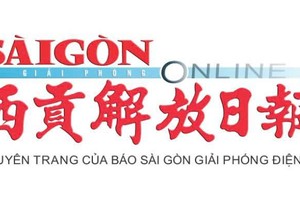 俄远东天然气化工项目火灾已致7人死亡