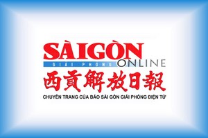 推动越中务实合作，巩固两国全面战略合作伙伴关系