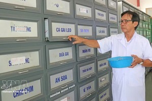 用于环市（Chợ Vàm）慈善传统医学诊所患者治疗的药材。图自