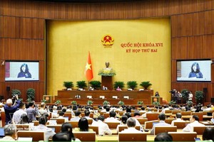 越南卫生部部长陶红兰在会上发表讲话。图自越通社