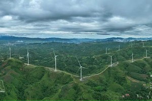 附图 图自越通社
