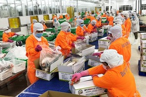 今年前七个月，越南水产品出口预计达62亿美元，同比增长17%。