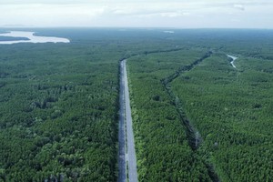 越南从卓越减贫到绿色增长。