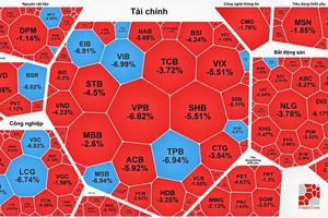 “王者股票”暴跌。