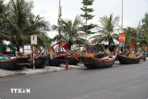 清化省岑山坊渔民将船只转移上岸避风。