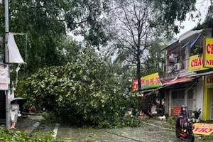 政府总理指导集中克服5号台风灾后影响