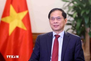 越南政府副总理兼外交部长裴青山。