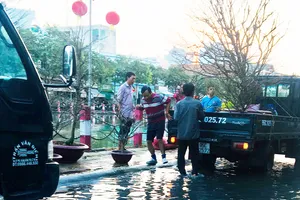 ĐBSCL: Mặn đến sớm, triều cường muộn bất thường