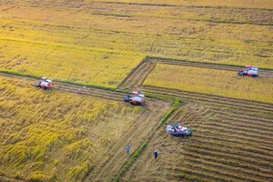 Khởi động phục hồi nền kinh tế, lãnh đạo địa phương cần hành xử khéo léo, linh hoạt với doanh nghiệp