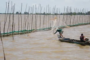 ĐBSCL: Cần liên kết kích hoạt khả năng thích ứng, phục hồi để phát triển